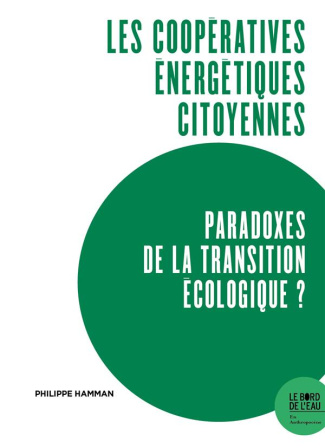 Les coopératives énergétiques citoyennes, paradoxes de la transition écologique ? Expériences du Rhi