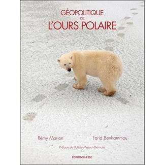 Géopolitique de l'ours polaire