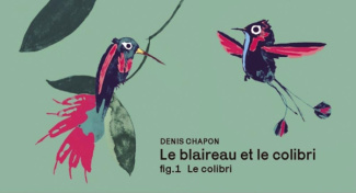 Le blaireau et le colibri