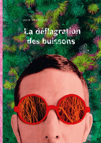 La Déflagration des buissons