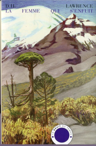 Nouvelles complètes Tome 4 : La femme qui s'enfuit. Et autres nouvelles