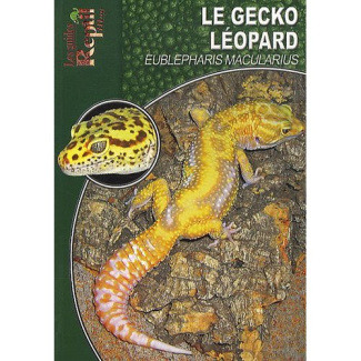 Le gecko léopard. Eublepharis macularius