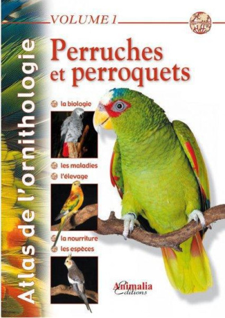 Perruches et perroquets