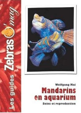 Mandarins en aquarium