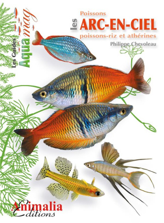 Les poissons arc-en-ciel