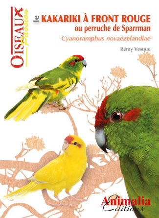 Le kakariki à front rouge ou perruche de Sparrman
