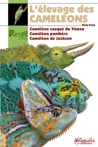 L'élevage des caméléons