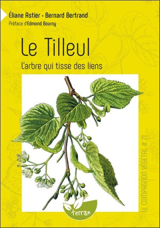 Le tilleul. L'arbre qui tisse des liens