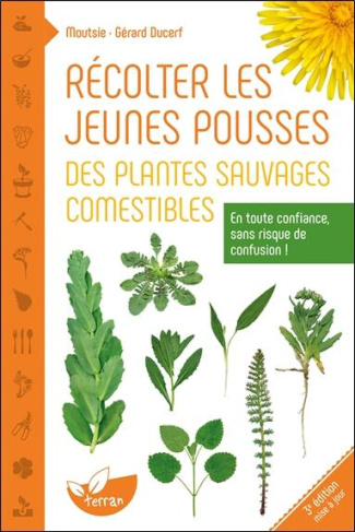 Récolter les jeunes pousses des plantes sauvages comestibles. En toute confiance, sans risque de con