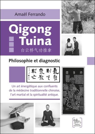 Qigong Tuina - Un art énergétique aux confluents de la médecine traditionnelle chinoise, l'art marti