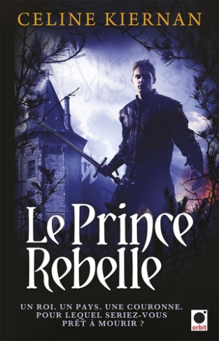 Les Moorehawke Tome 3 : Le prince Rebelle