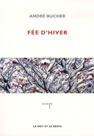 FEE D'HIVER ANCIENNE EDITION