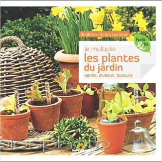 Je multiplie les plantes du jardin. Semis, division, bouturage