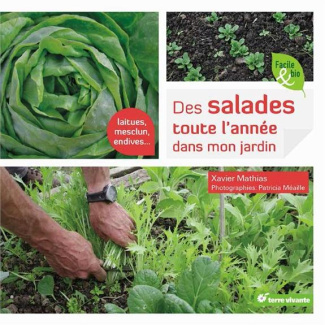 Des salades toute l'année dans mon jardin