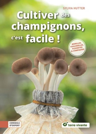 Cultiver des champignons, c'est facile ! Pleurottes, shiitakés & compagnie