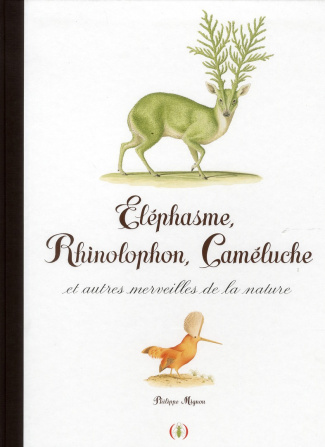 Eléphasme, Rhinolophon, Caméluche et autres merveilles de la nature