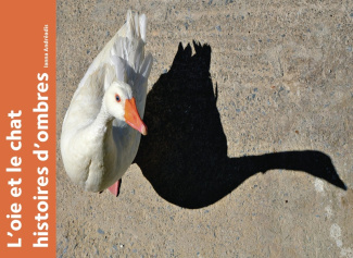 L'oie et le chat. Histoires d'ombres