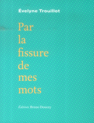Par la fissure de mes mots