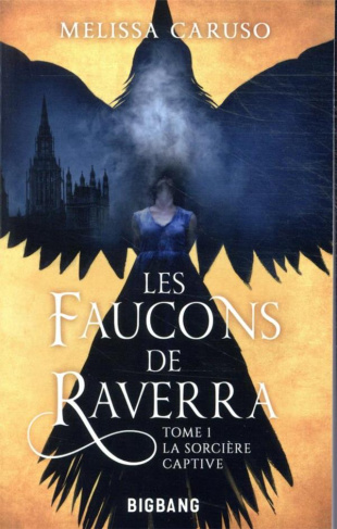 Les faucons de Raverra Tome 1 : La sorcière captive
