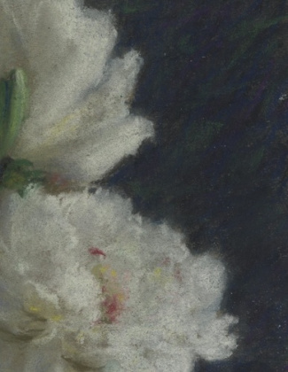 Agenda semainier Lexitis 2016. Nymphe