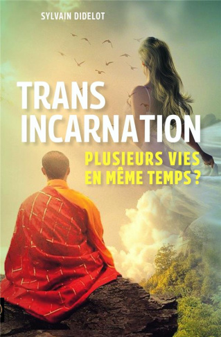 Transincarnation. Plusieurs vies en même temps ?