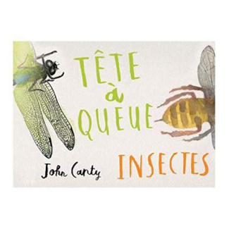 Tête à queue. Insectes