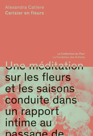 Alexandra Catière. Cerisier en fleurs