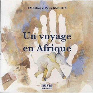 Un voyage en Afrique