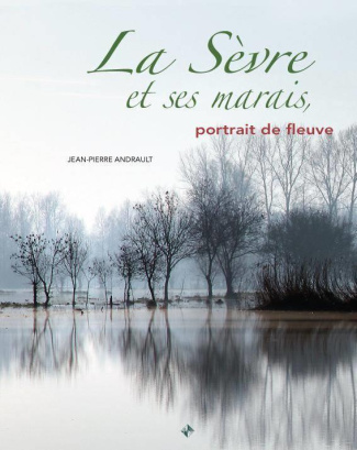 La Sèvre et ses marais