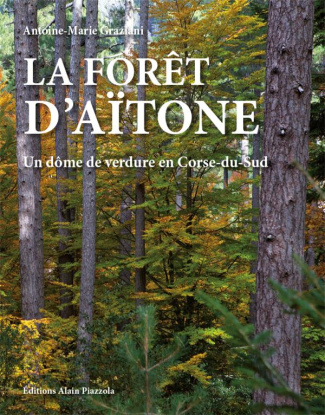 La forêt d'Aïtone. Un dôme de verdure en Corse-du-Sud