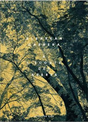 A l'écoute des arbres