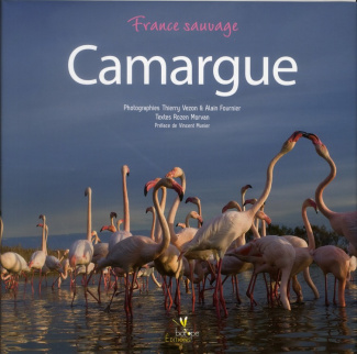 CAMARGUE