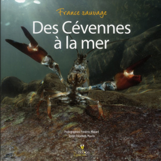 Des Cévennes à la mer