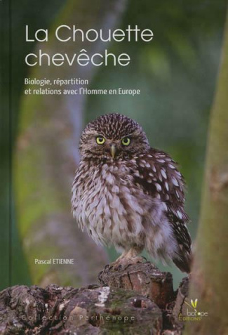 La Chouette chevêche / Biologie, répartition et relation avec l'Homme en Europe