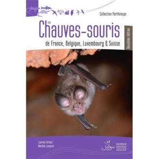 Les chauves-souris de France
