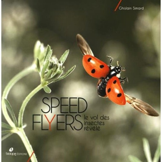 Speed flyers / Le vol des insectes révélé