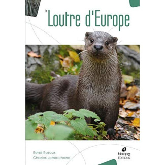 La loutre d'Europe