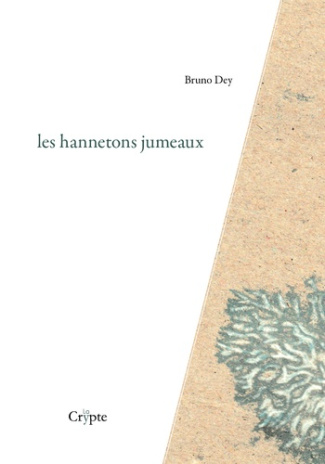 Les hannetons jumeaux : suivi de cecites