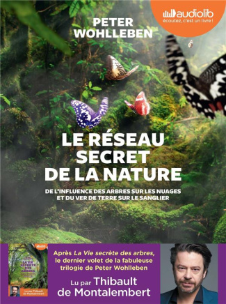 Le réseau secret de la nature. De l'influence des arbres sur les nuages et du ver de terre sur le sa