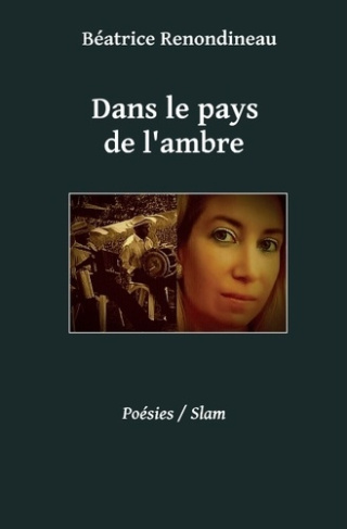 Dans le pays de l'ambre