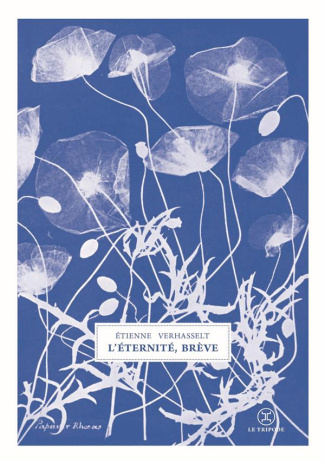 L'éternité, brève. Eclats du grand foutoir