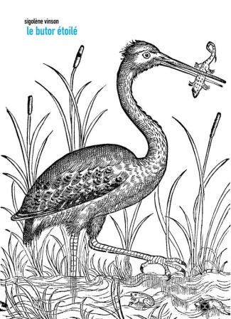 Le butor étoilé