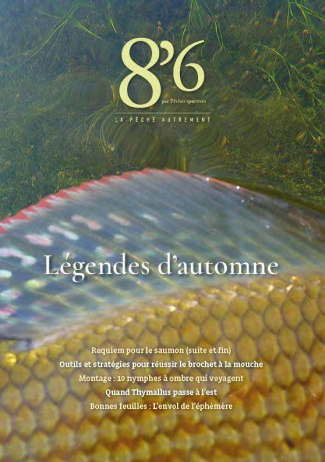 8'6 N° 23 : Légendes d'automne