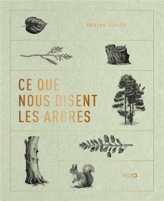 Ce que nous disent les arbres. Ces grands messagers de la nature