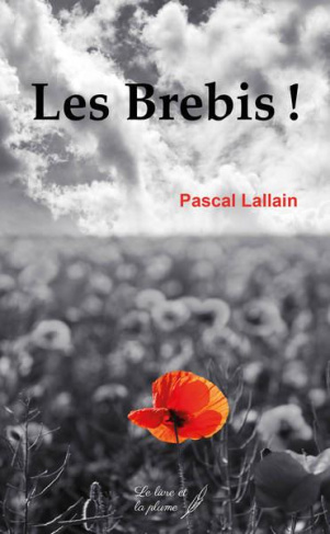 Les brebis !