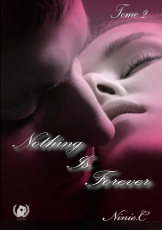 Nothing is forever Tome 2