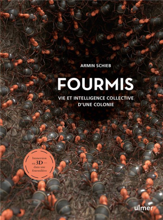 Fourmis. Vie et intelligence collective d'une colonie