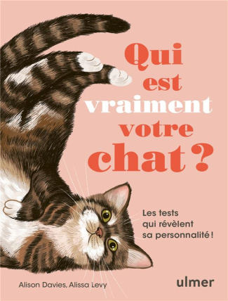 Qui est vraiment votre chat ? Les tests qui révèlent sa personnalité !