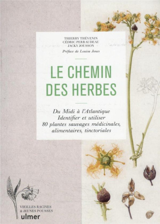 Le chemin des herbes. Du Midi à l'Atlantique, identifier et utiliser 80 plantes sauvages médicinales