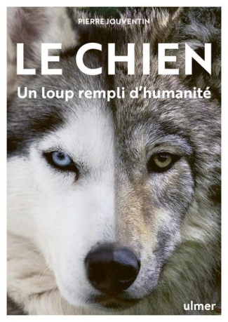 Le chien. Un loup rempli d'humanité